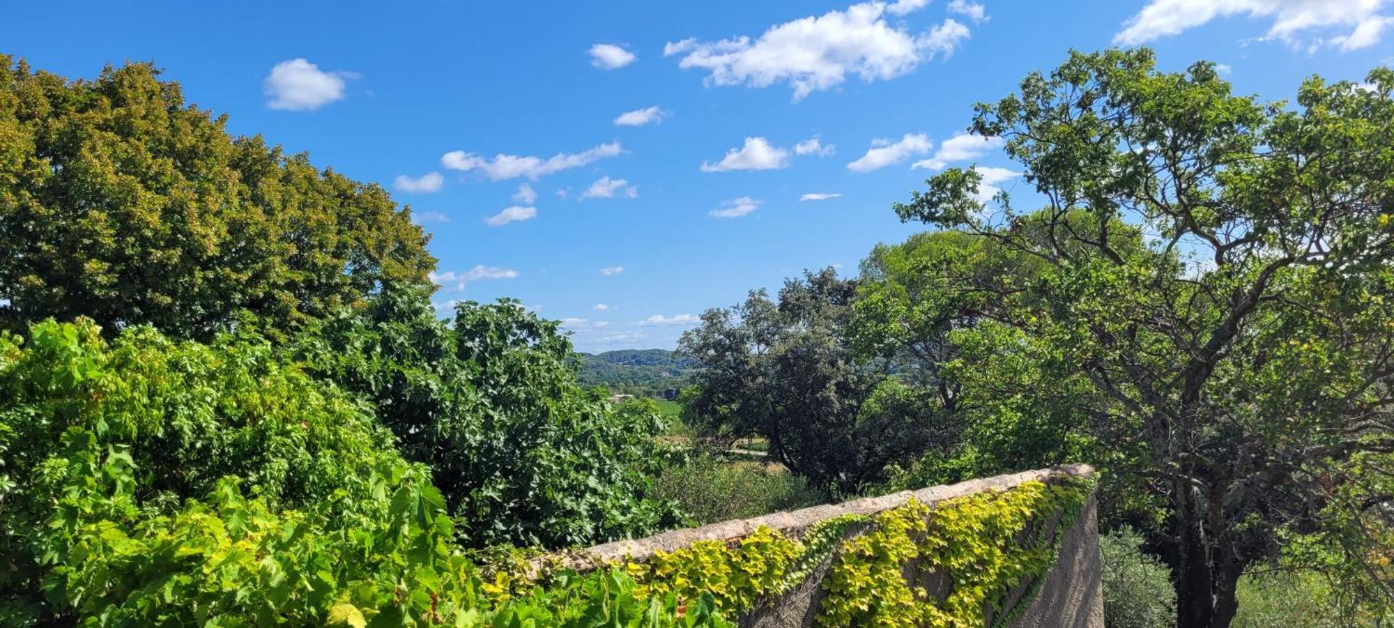 Le Domaine Du Soulier -Gite Et Chambres D'Hotes - La Maison Du Gardien Tornac Eksteriør bilde
